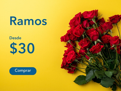 banner ramos